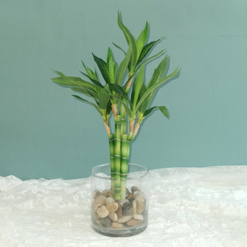 Aquarium Fish Pot - Neue 40cm Künstliche Glücksbambus-Sukkulentenpflanze, Grüne Topfpflanze