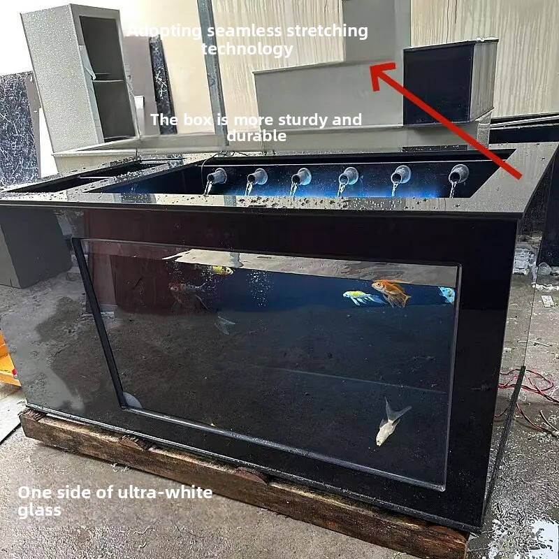 Xl Aquarium Fish - XL Schwarzes Seitenfilter-Aquarium, Ultraklares Koi-Becken, Dekoratives