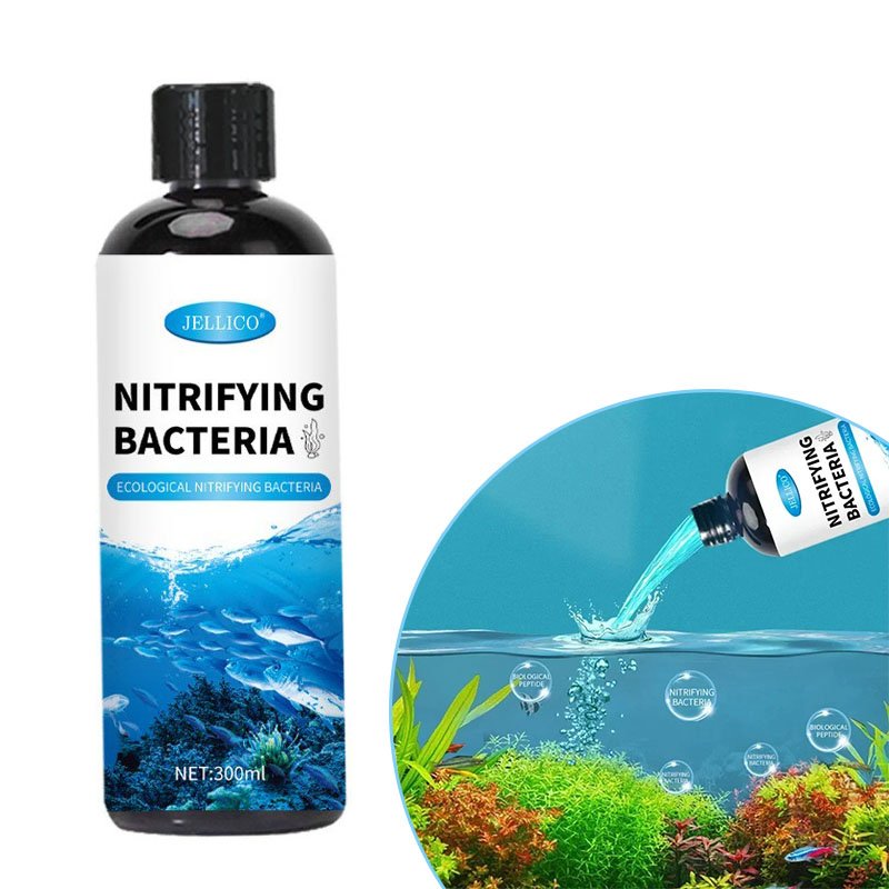 Aquarium Fish Diseases - Nitrifizierende Bakterien Flüssiges Aquarium Wasserreiniger Aquarium