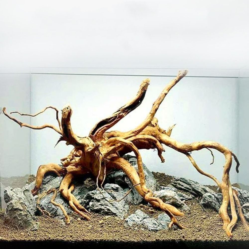 Aquarium Fish Enrichment - 20-25CM Großes Aquarium-Treibholz, Natürliche Fischbecken-Pflanzendekoration, Baumstumpf
