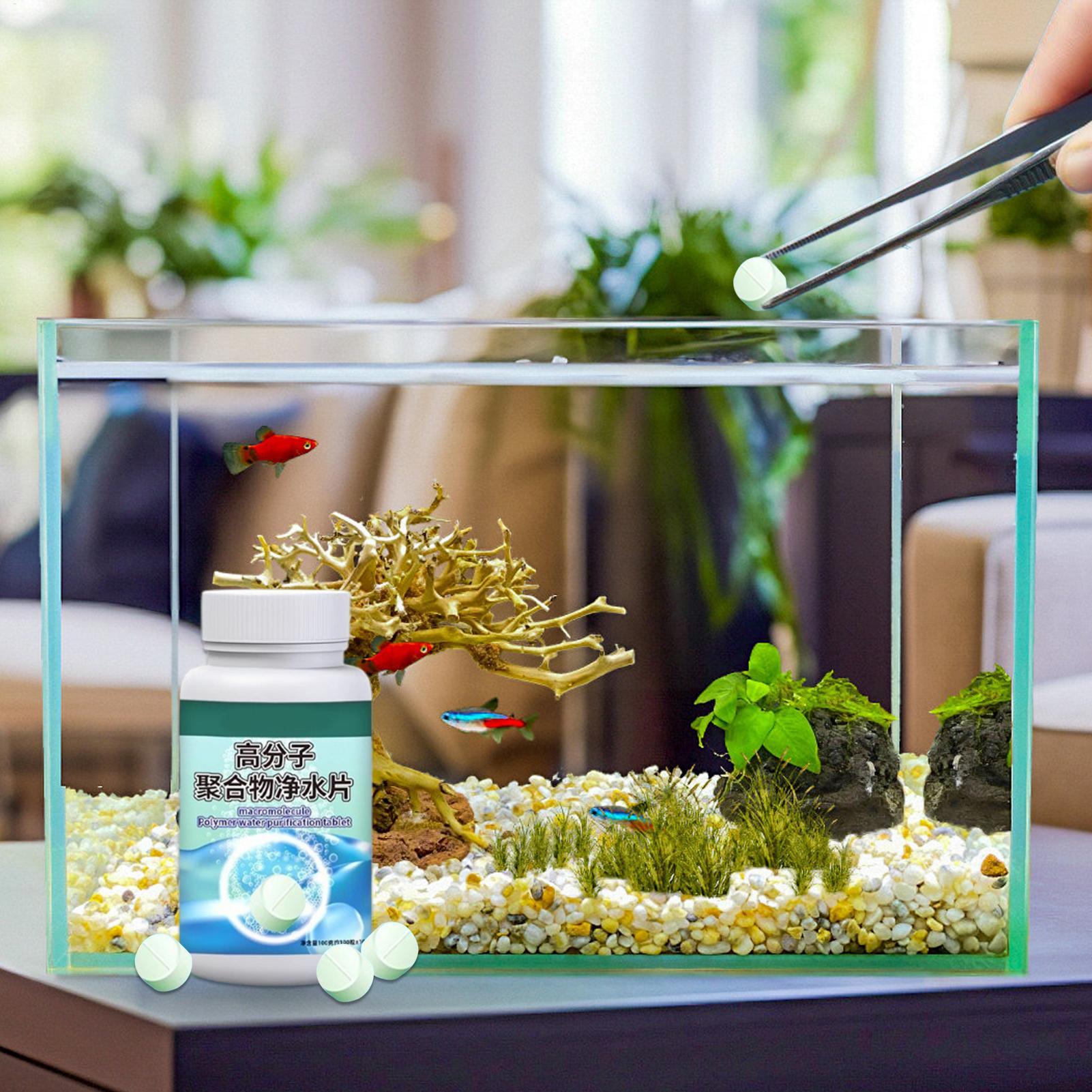 Fischfutter-Algenentferner, Aq – Aquarium Fish Care Bewertung und Preis