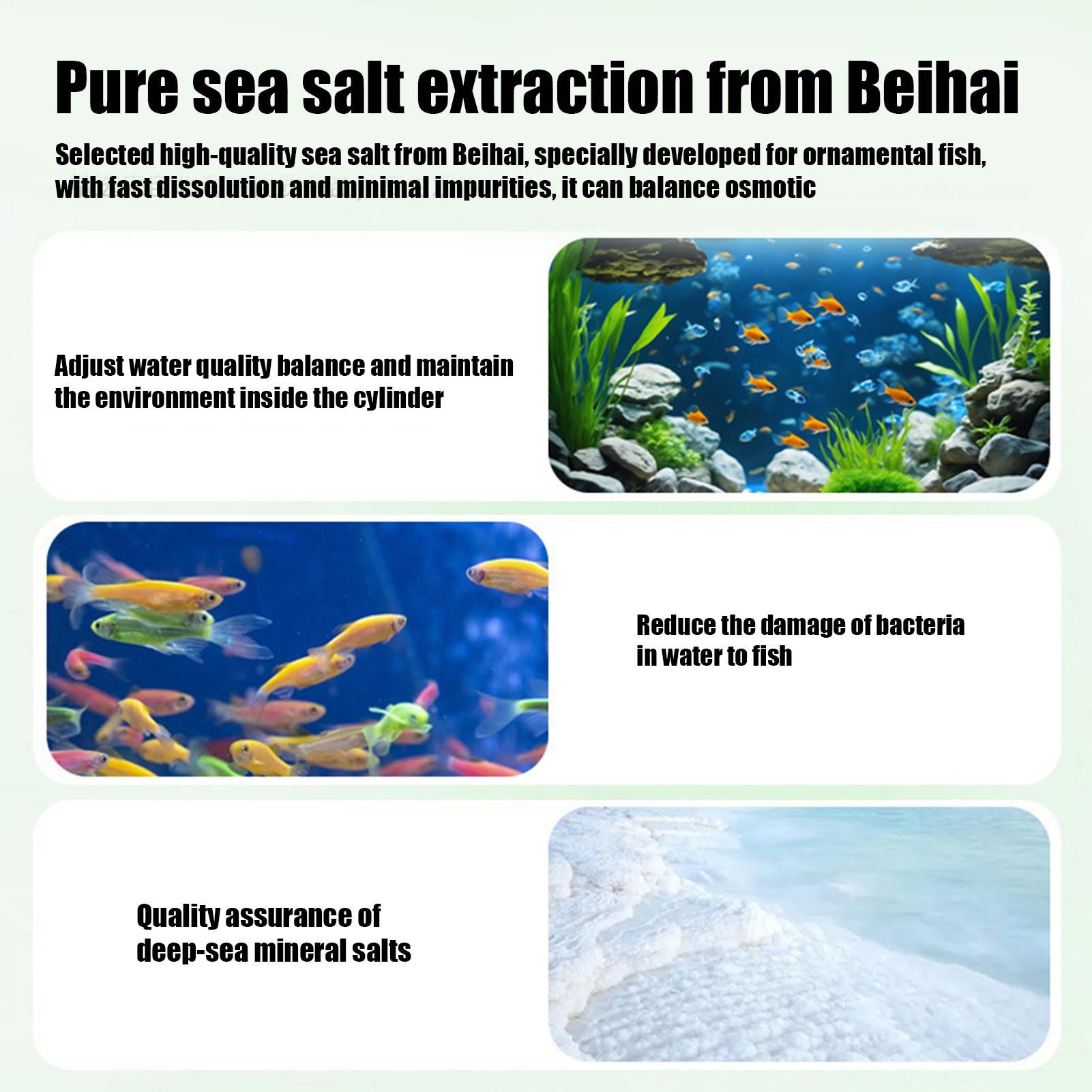 Fischfutter-Algenentferner, Aq – Aquarium Fish Care Bewertung und Preis