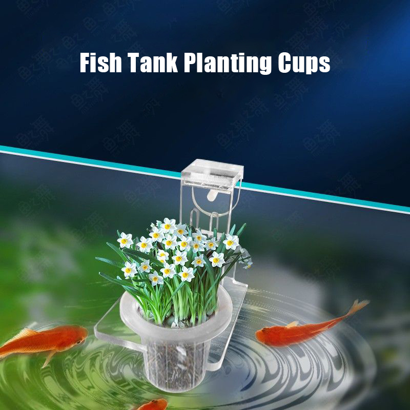 Aquarium Pflanzbecher Hydrokul – Aquarium Fish Pot Bewertung und Preis