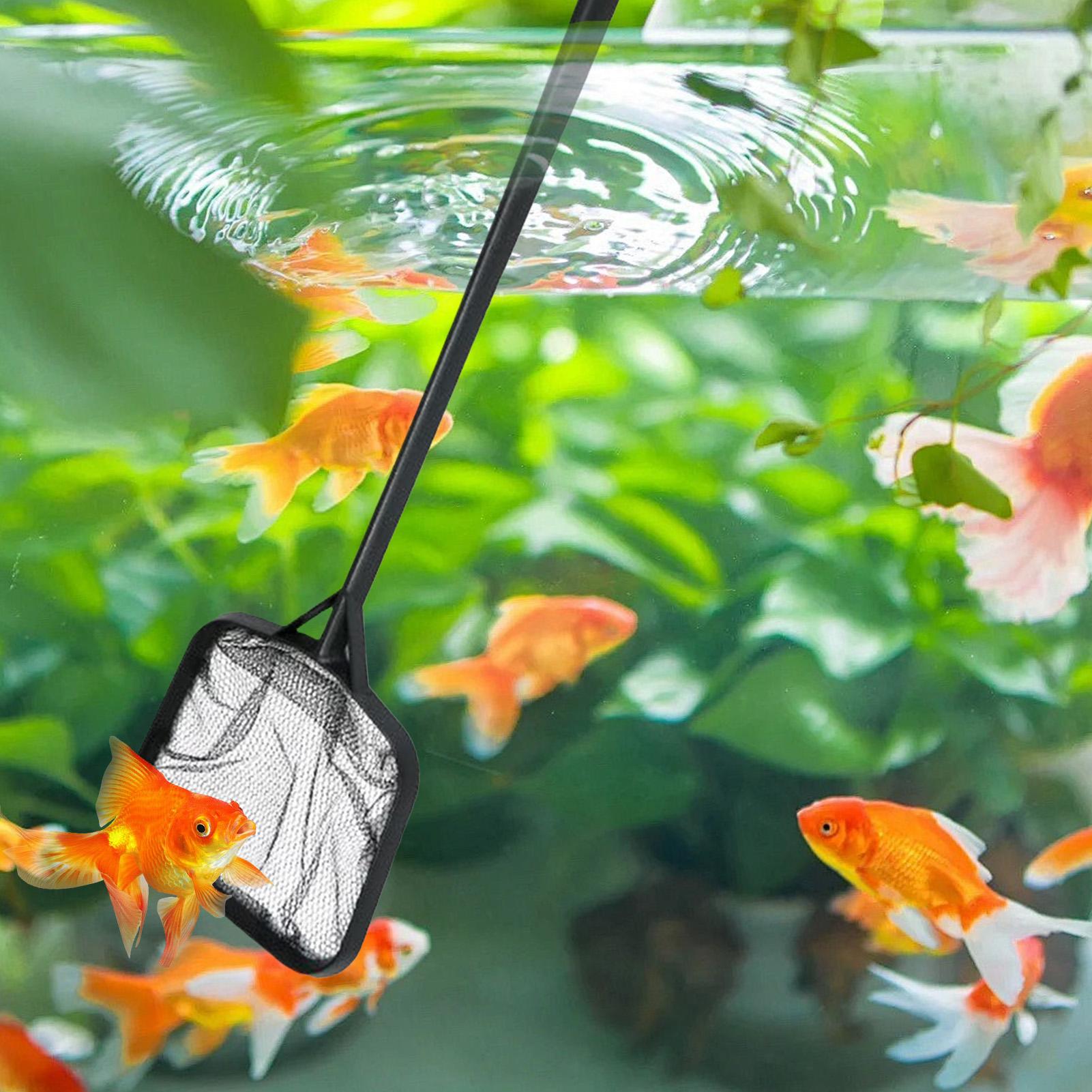 Poolnetze zur Reinigung, tragb – Aquarium Fish Care Bewertung und Preis
