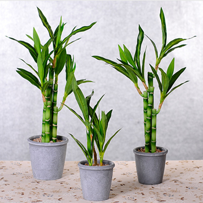 Neue 40cm Künstliche Glücksbam – Aquarium Fish Pot Bewertung und Preis
