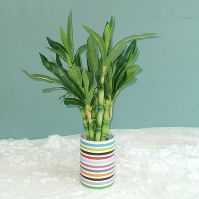 Neue 40cm Künstliche Glücksbam – Aquarium Fish Pot Bewertung und Preis