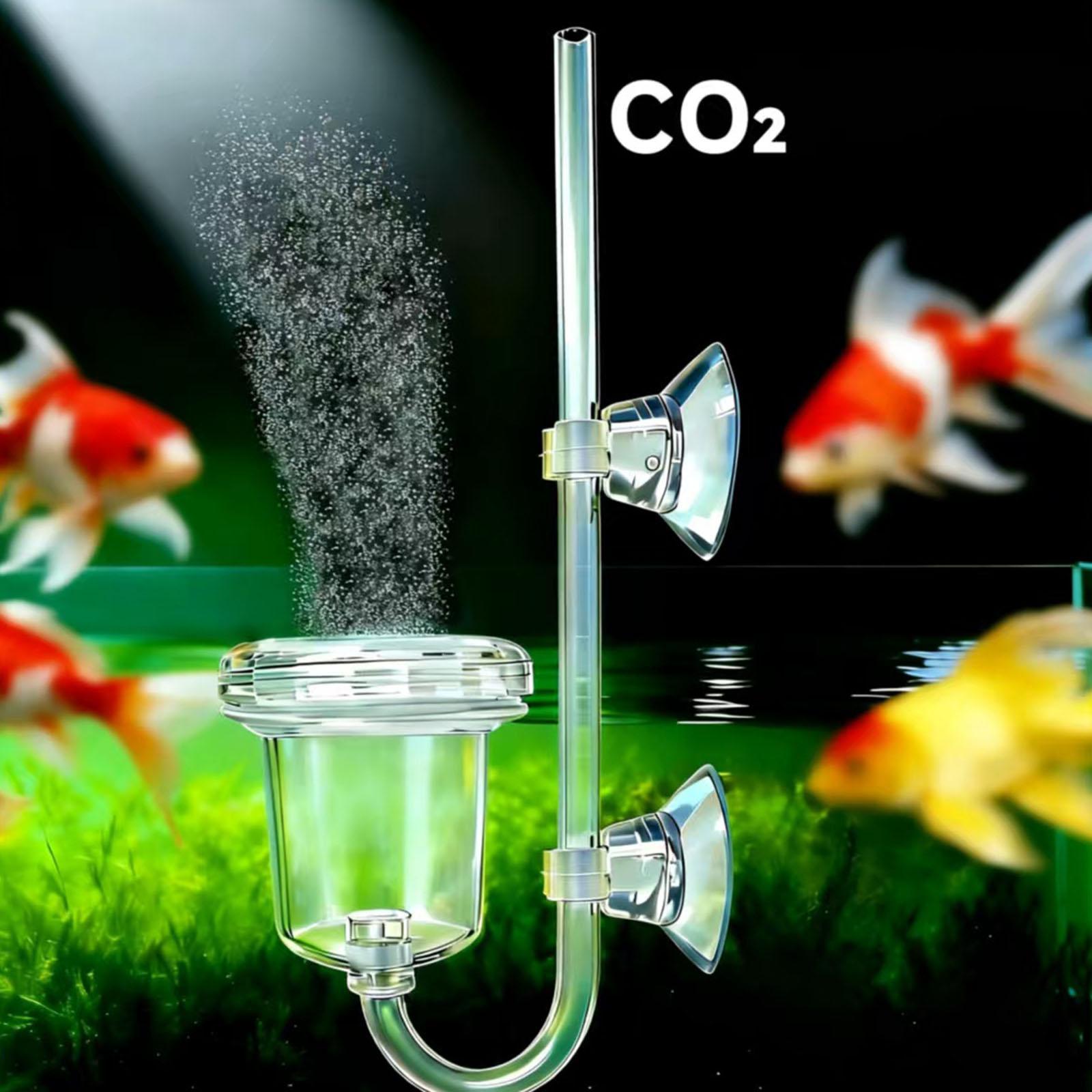 Transparenter CO2-Diffusor mit – Co2 Diffuser Planted Bewertung und Preis