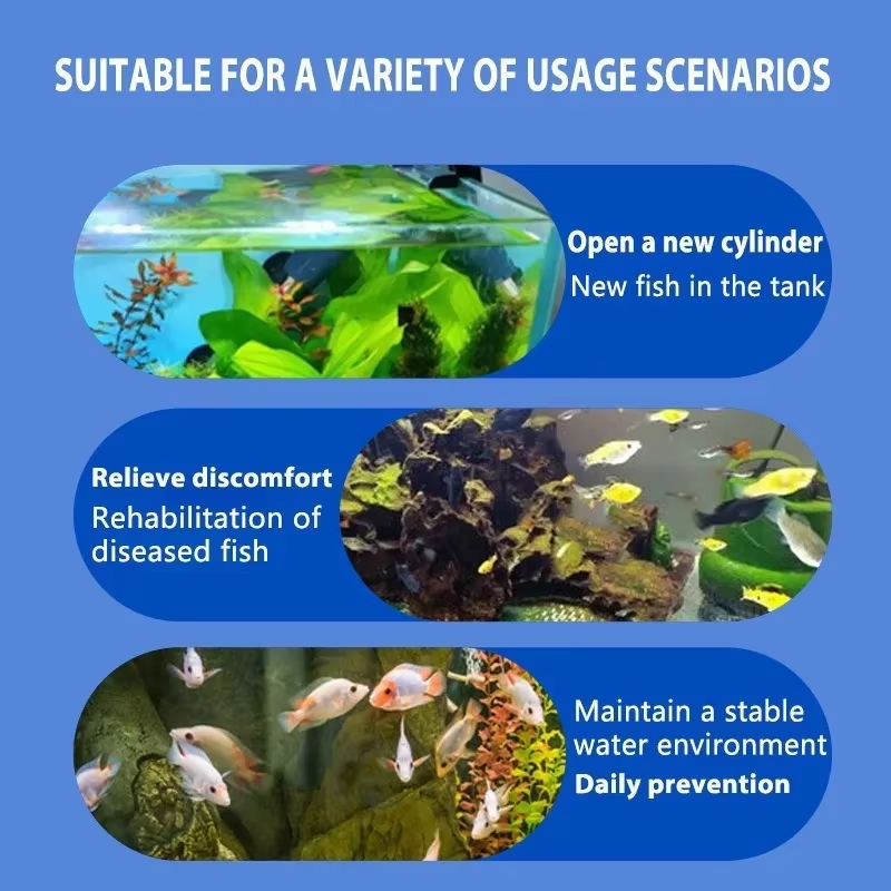SIKEZHAN Behandlung von Fische – Aquarium Fish Diseases Bewertung und Preis