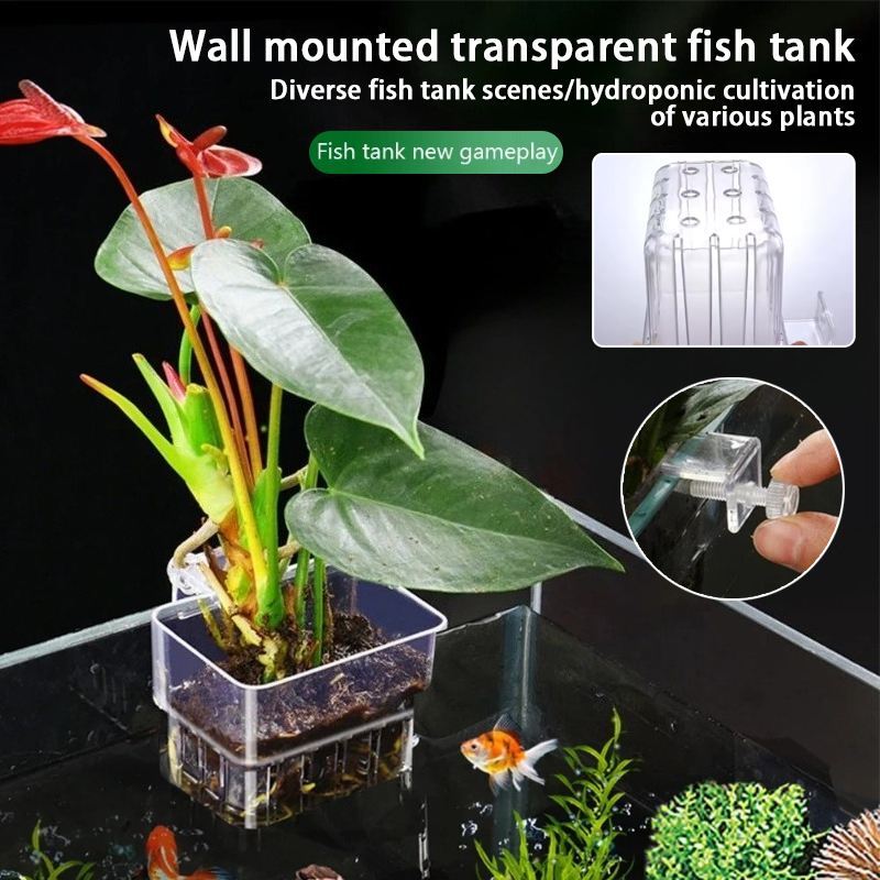 Aquarium Hängepflanzgefäße Wan – Aquarium Fish Pot Bewertung und Preis