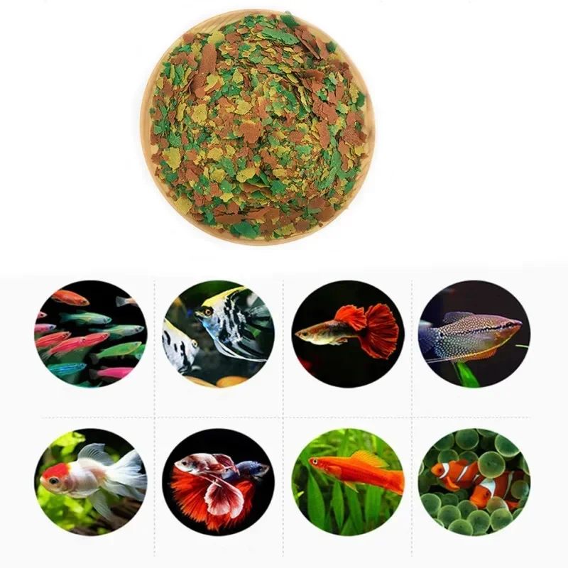 Fischfutter zum Färben und Auf – Fish Food Flake Bewertung und Preis