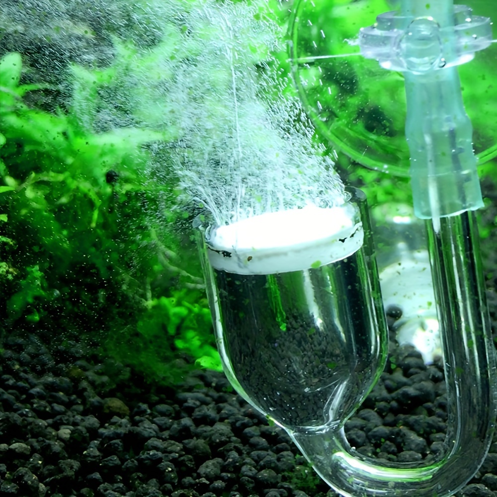 Aquarium Glas CO2 Zerstäuber D – Co2 Diffuser Planted Bewertung und Preis