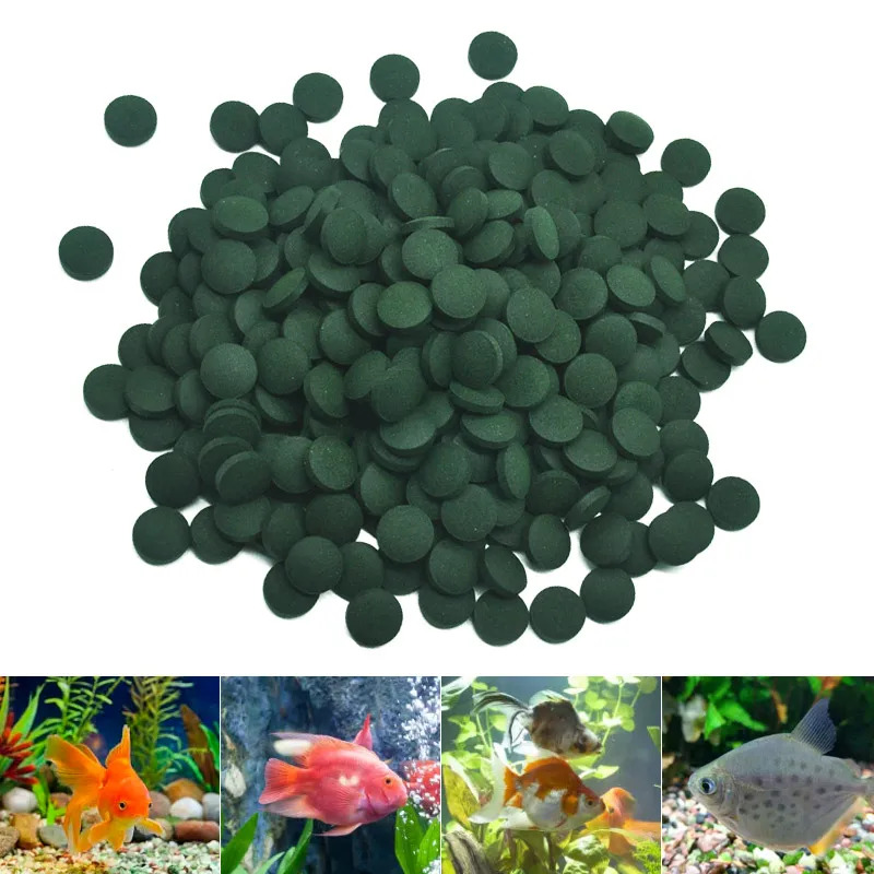 100/500/1000PCS Spirulina Floc – Fish Food Flake Bewertung und Preis