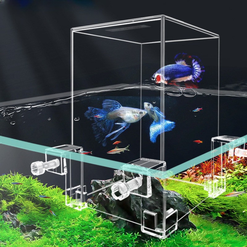 Kreative Aquarien Tanks Unterd – Aquarium Fish Pot Bewertung und Preis