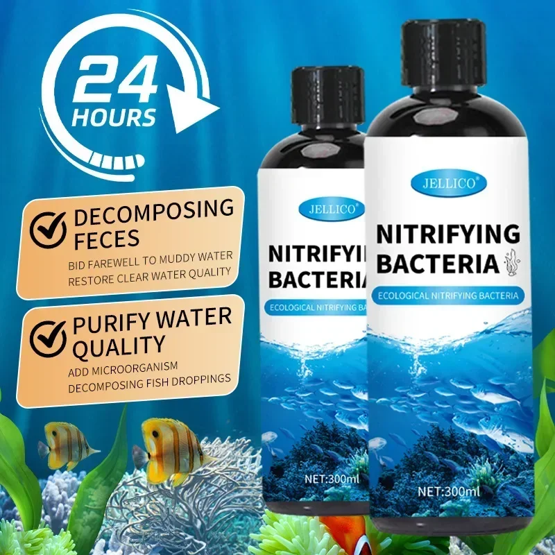Nitrifizierende Bakterien Flüs – Aquarium Fish Diseases Bewertung und Preis