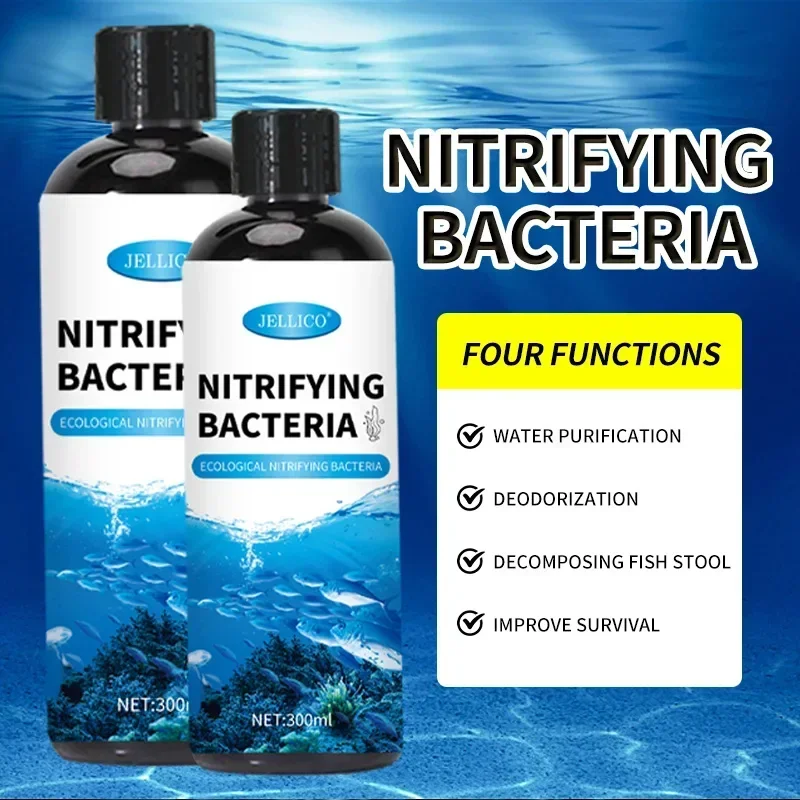 Nitrifizierende Bakterien Flüs – Aquarium Fish Diseases Bewertung und Preis