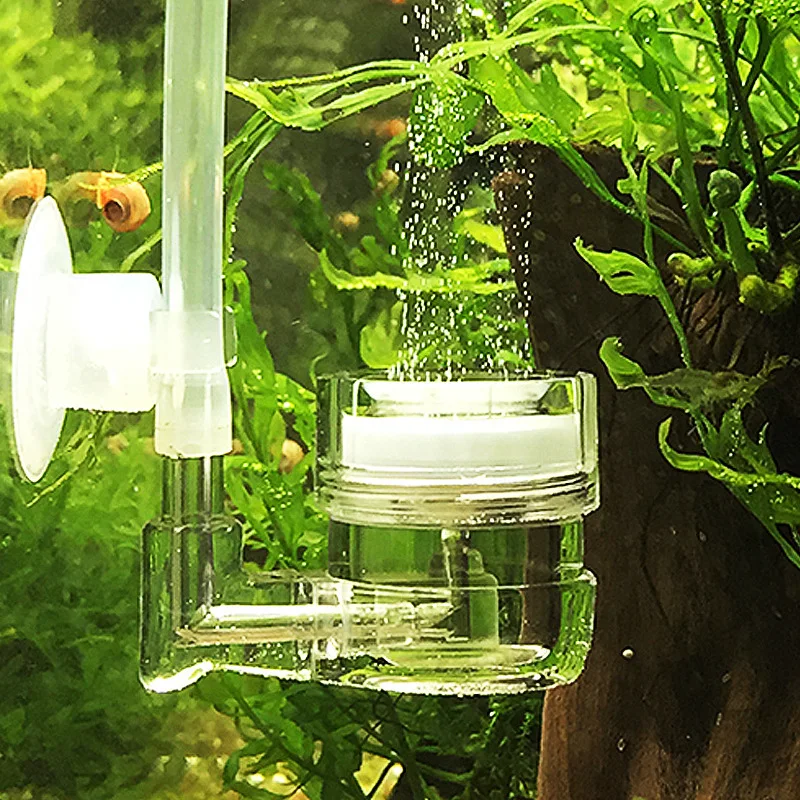 Aquarium 4-in-1 CO2-Diffusor,  – Co2 Diffuser Planted Bewertung und Preis