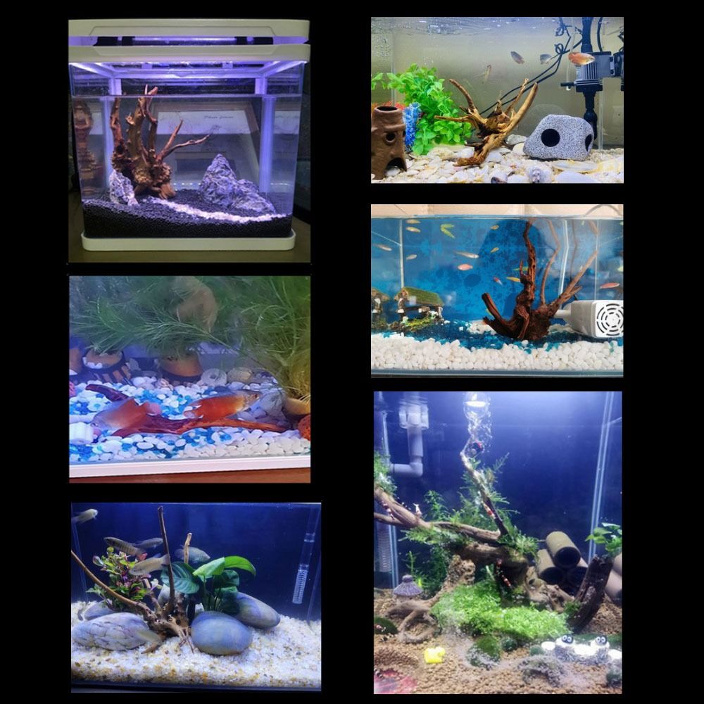 20-25CM Großes Aquarium-Treibh – Aquarium Fish Enrichment Bewertung und Preis