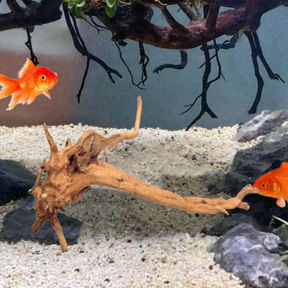 20-25CM Großes Aquarium-Treibh – Aquarium Fish Enrichment Bewertung und Preis