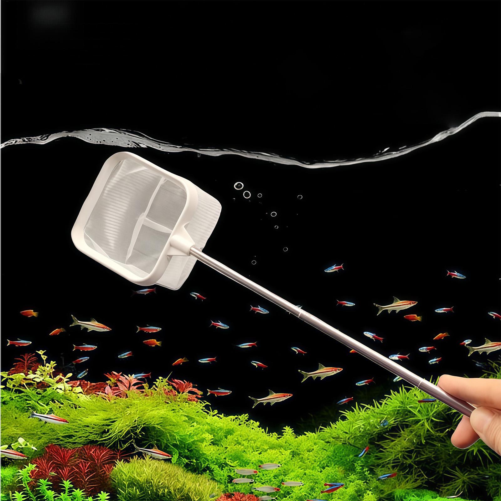 Ausziehbarer Langstiel-Feinmas – Fish Net Handle Bewertung und Preis