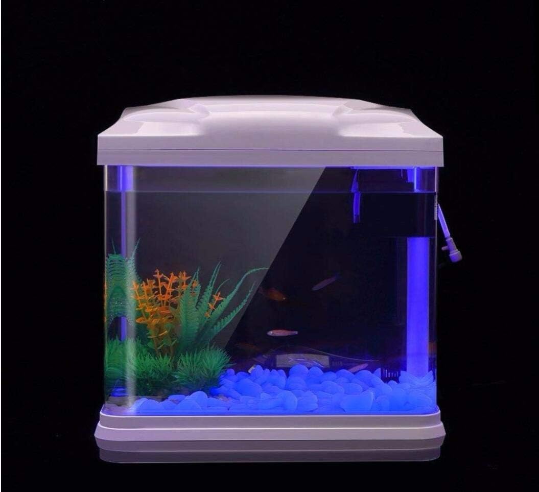 Aquarium-Felsen leuchten blaue – Aquarium Fish Pot Bewertung und Preis