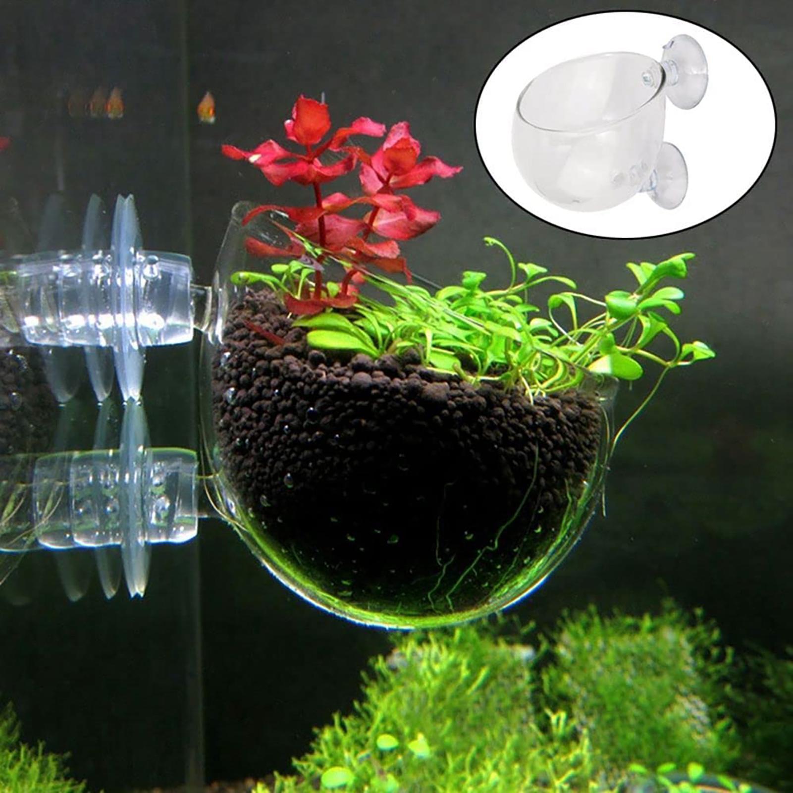 Wasserpflanztopf, transparente – Aquarium Fish Pot Bewertung und Preis