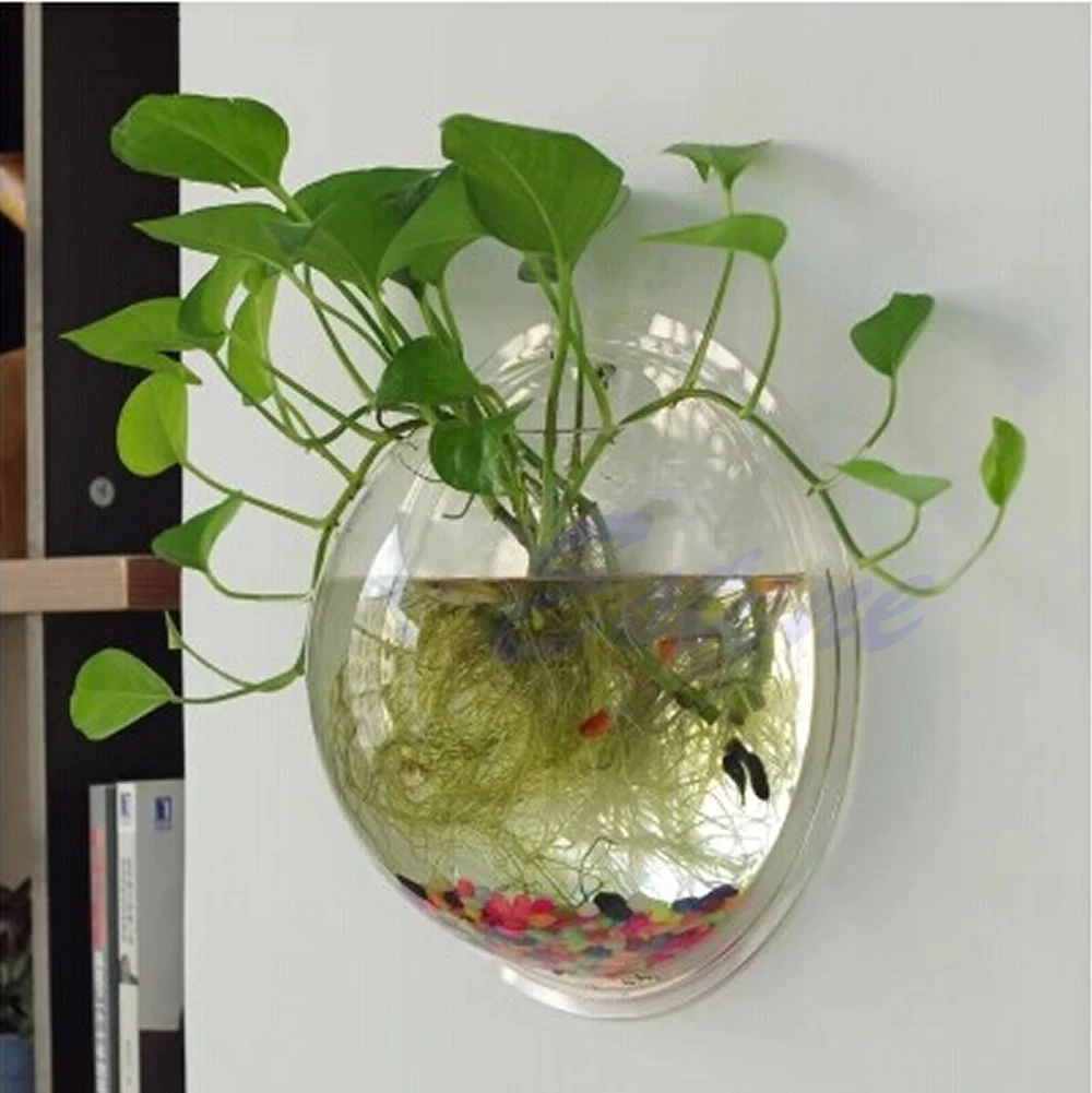Topf Wandbehang Halterung Blas – Aquarium Fish Pot Bewertung und Preis