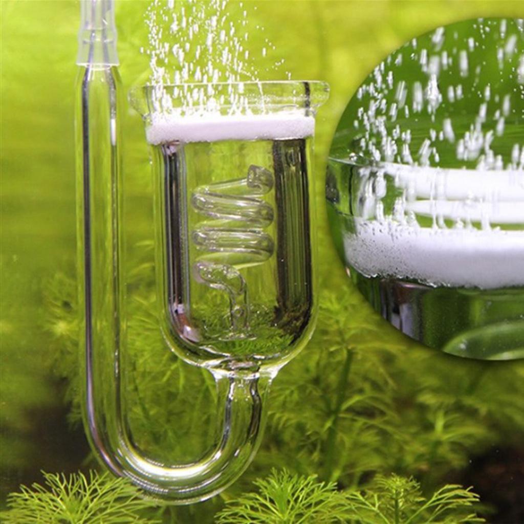 Hochleistungs-Glas-CO2-Diffuso – Co2 Diffuser Planted Bewertung und Preis