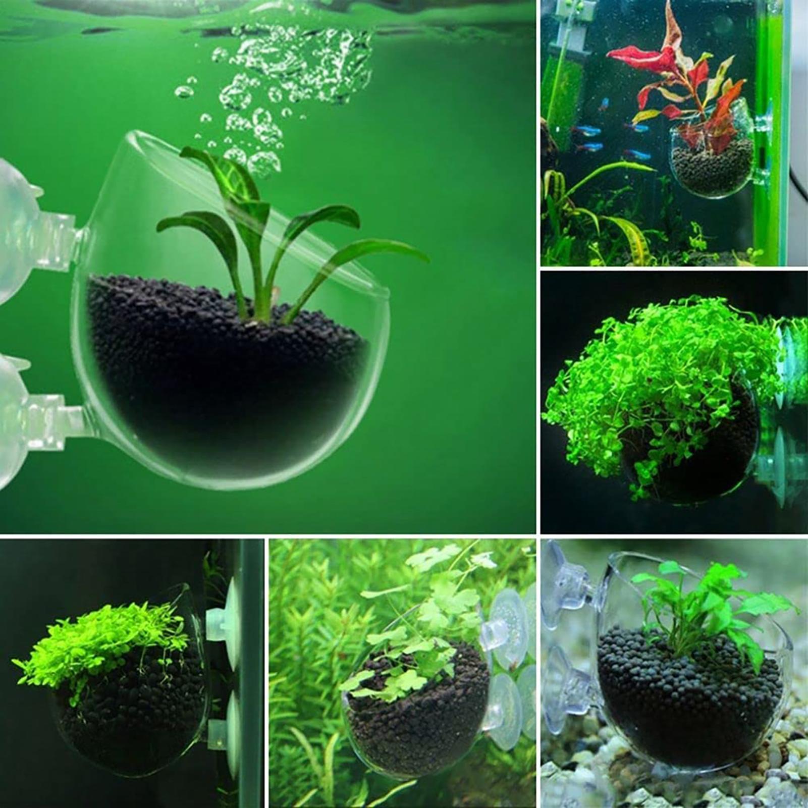Aquatische Pflanzentöpfe aus A – Aquarium Fish Pot Bewertung und Preis