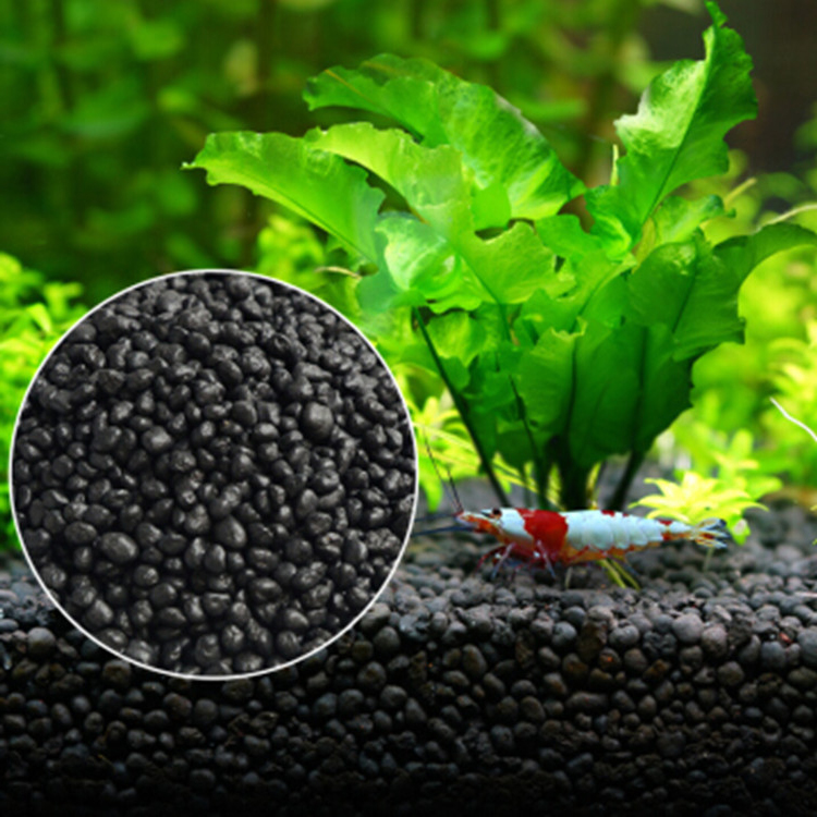 Aquarium Pflanzen Samen Boden  – Aquarium Fish Care Bewertung und Preis