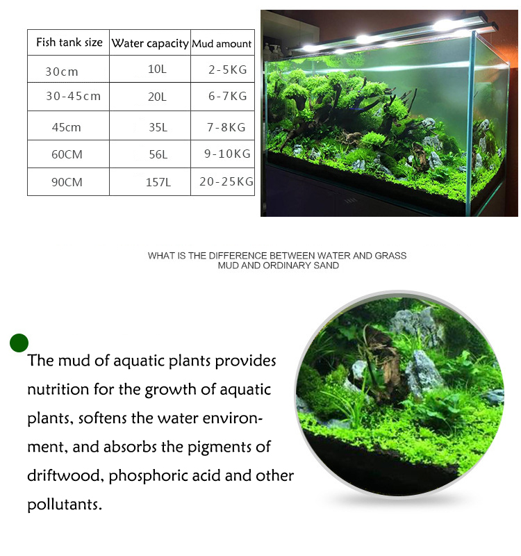 Aquarium Pflanzen Samen Boden  – Aquarium Fish Care Bewertung und Preis