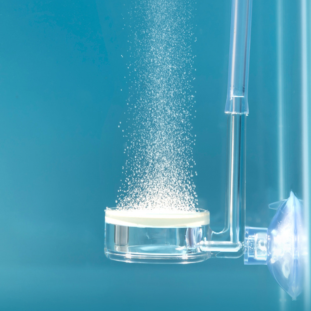 1PC Diffusor für Aquarienpflan – Co2 Diffuser Planted Bewertung und Preis