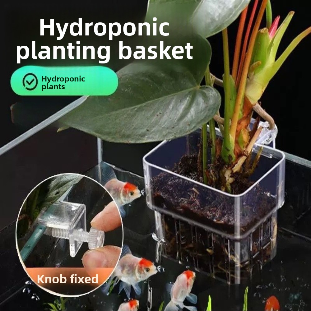 Aquarium Hydroponischer Pflanz – Aquarium Fish Pot Bewertung und Preis