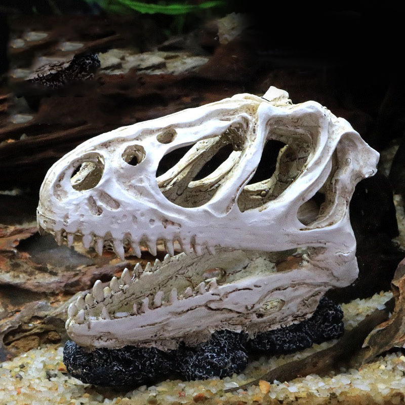 Dinosaurier Schädel Modell Vel – Aquarium Fish Diseases Bewertung und Preis